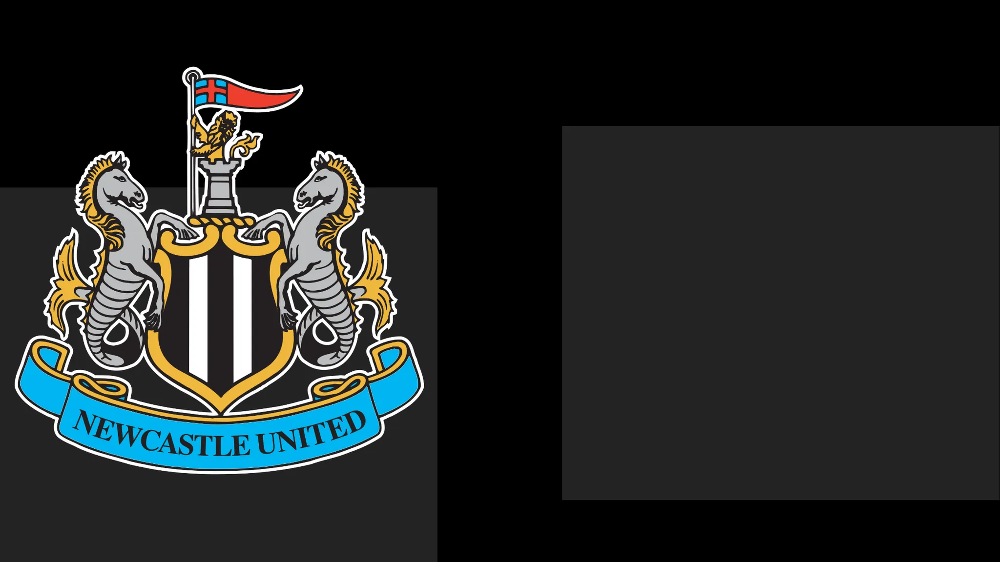 Newcastle's boss Praises Team's Spirit – But It Only Takes Them To a Point